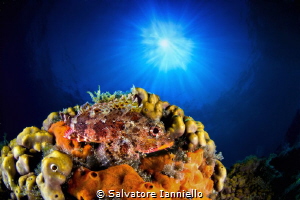 against the by Salvatore Ianniello 